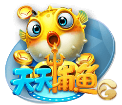星空足球入口正式版